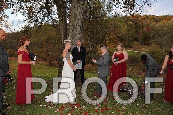 8L2A3406 Wedding Photos - The ceremony