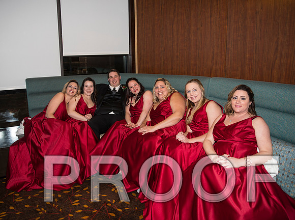 8L2A6096 aaa Wedding Photos - Bride & Groom with the bridal party