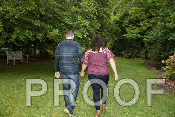 8L2A9222 aaa Engagement Session