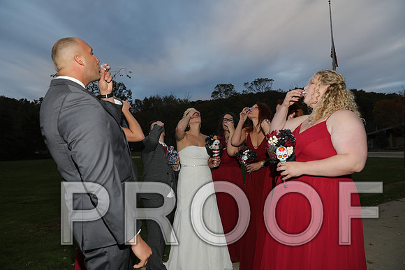 8L2A3555 Wedding Photos - the bride and groom along with the bridal party