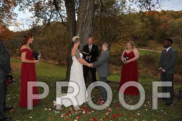 8L2A3422 Wedding Photos - The ceremony