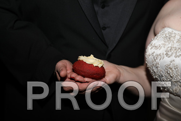 8L2A6436 Wedding Photos - The Reception