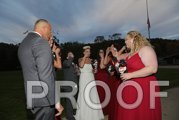 8L2A3554 Wedding Photos - the bride and groom along with the bridal party