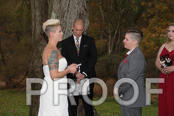 8L2A3390 Wedding Photos - The ceremony