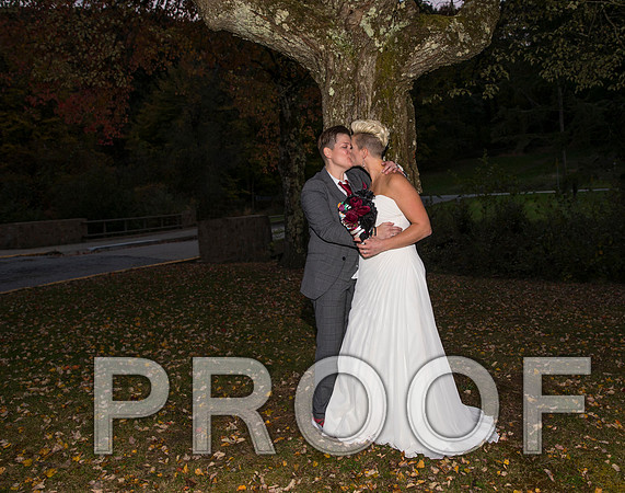 8L2A3581 aaa Wedding Photos - the bride and groom along with the bridal party