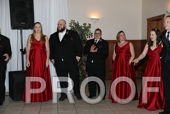 8L2A6296 Wedding Photos - The Reception