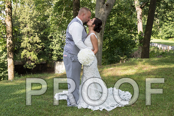 IF6A5589 aaa Wedding - Bride and Groom with the bridal party