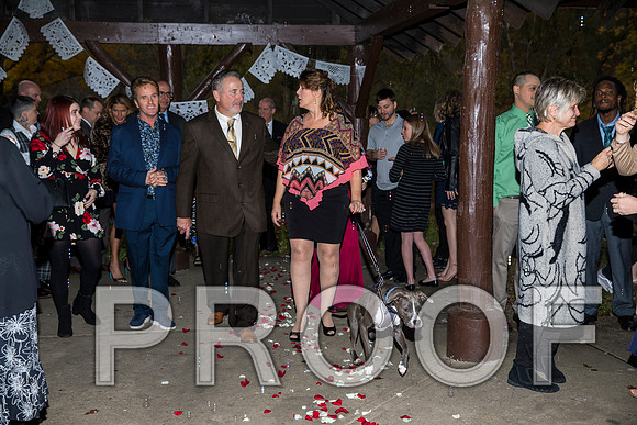 8L2A3466 aaa Wedding Photos - The ceremony