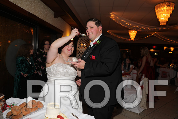 8L2A6429 Wedding Photos - Cutting the cake