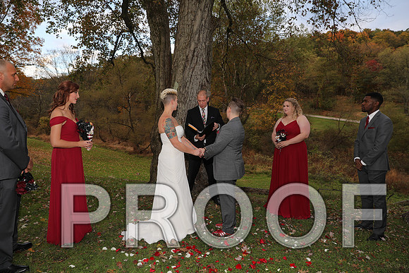 8L2A3426 Wedding Photos - The ceremony