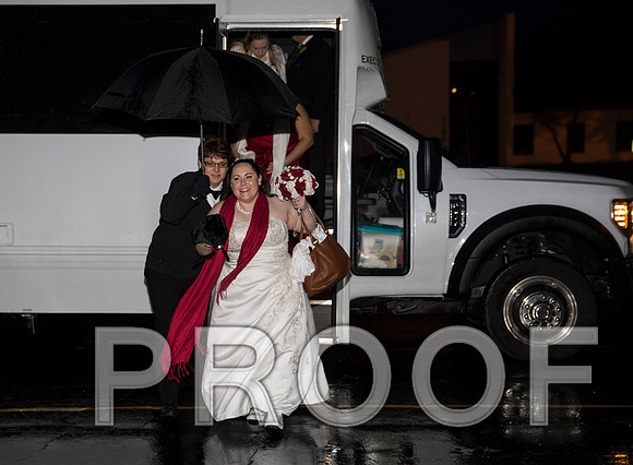 8L2A6135 aaa Wedding Photos - Bride & Groom with the bridal party