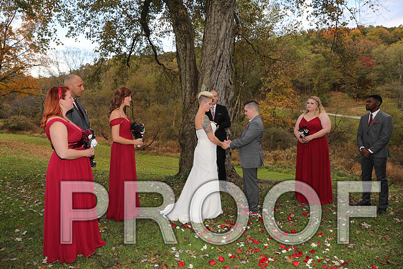 8L2A3320 Wedding Photos - The ceremony