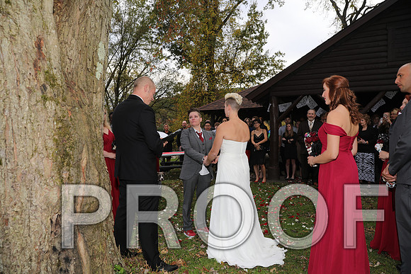 8L2A3327 Wedding Photos - The ceremony