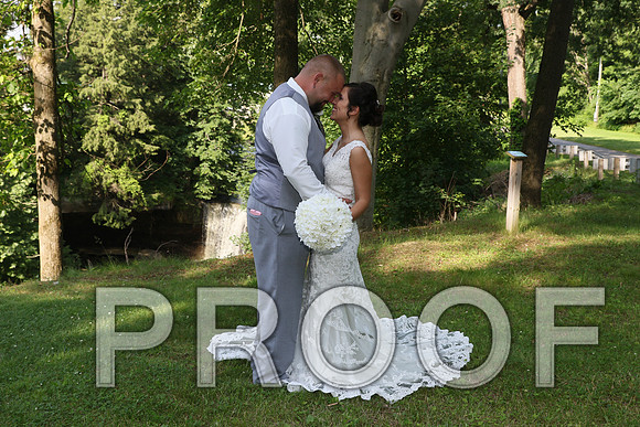 IF6A5593 Wedding - Bride and Groom with the bridal party