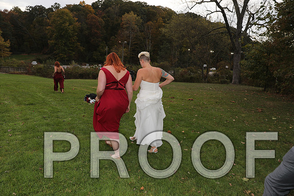 8L2A3479 Wedding Photos - the bride and groom along with the bridal party