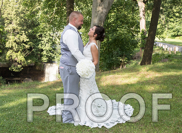 IF6A5587 aaa Wedding - Bride and Groom with the bridal party
