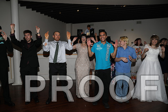 8L2A1610 Wedding Reception Let the Party Start