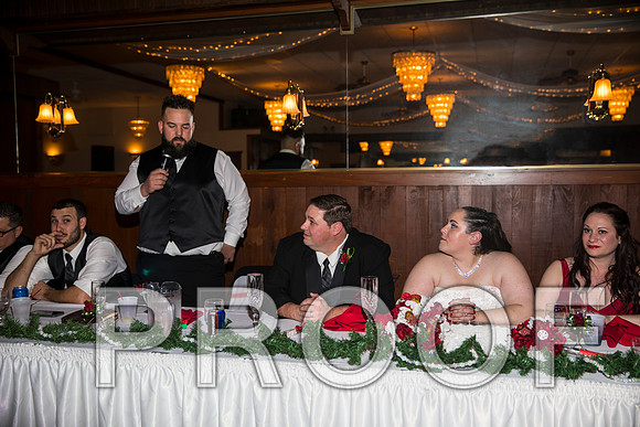 8L2A6367 aaa Wedding Photos - Toasts to the Bride & Groom