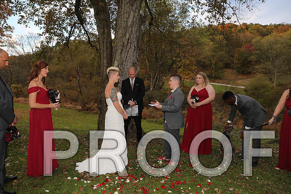 8L2A3407 Wedding Photos - The ceremony