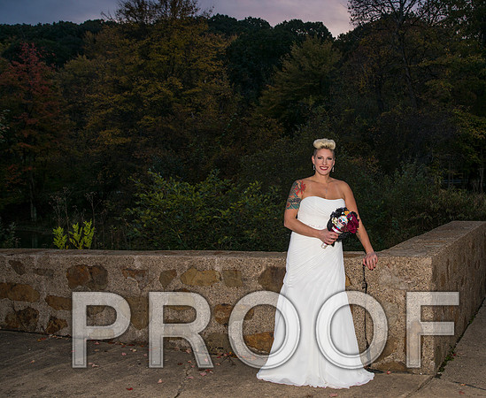 8L2A3584 aaa Wedding Photos - the bride and groom along with the bridal party