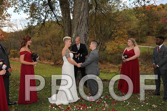 8L2A3341 Wedding Photos - The ceremony