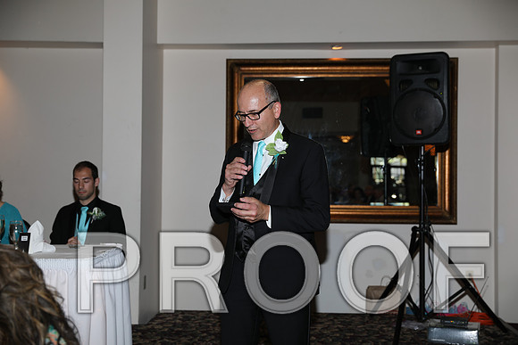 8L2A1311 Wedding Toasts to the bride and groom