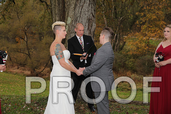 8L2A3358 Wedding Photos - The ceremony