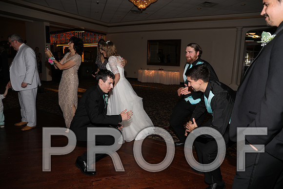 8L2A1500 Wedding Reception Let the Party Start