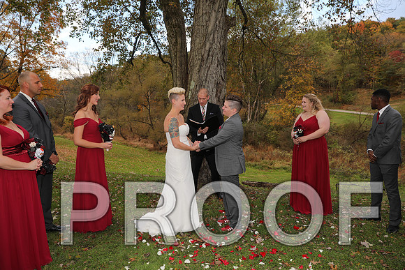 8L2A3345 Wedding Photos - The ceremony