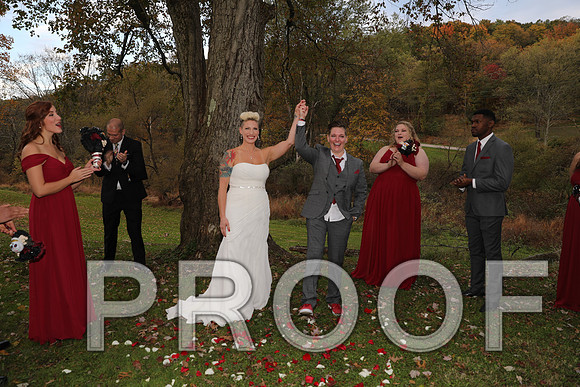 8L2A3440 Wedding Photos - The ceremony