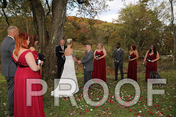 8L2A3333 Wedding Photos - The ceremony