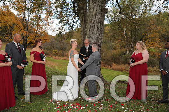 8L2A3316 Wedding Photos - The ceremony