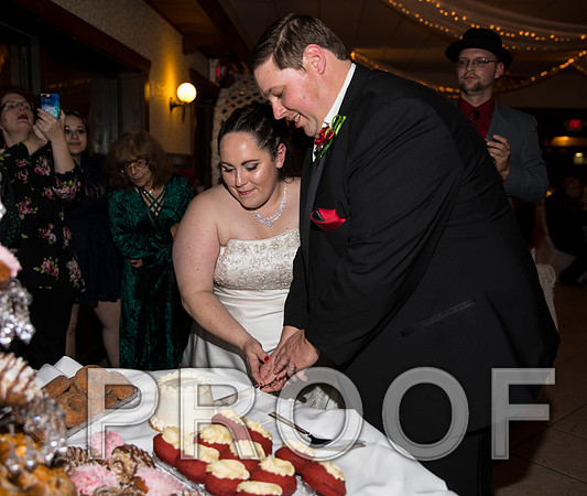 8L2A6390 aaa Wedding Photos - Cutting the cake