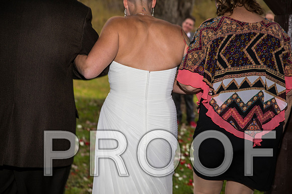8L2A3300 aaa Wedding Photos - The ceremony