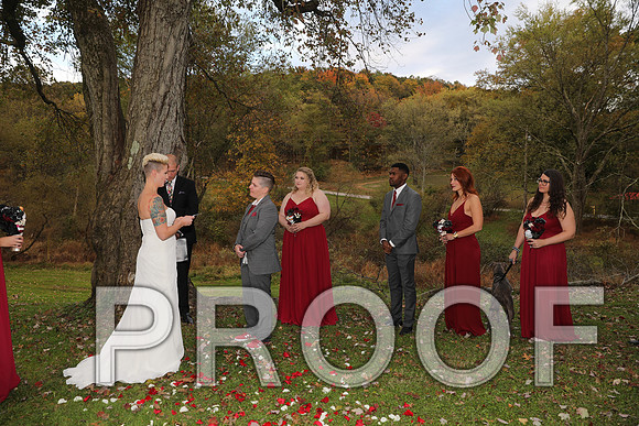 8L2A3394 Wedding Photos - The ceremony