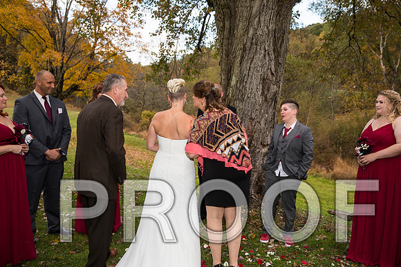 8L2A3308 aaa Wedding Photos - The ceremony