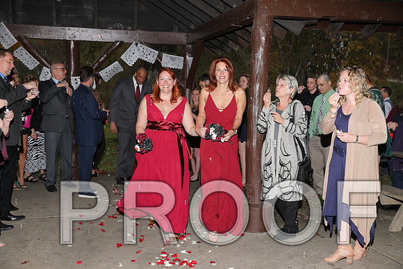 8L2A3462 Wedding Photos - The ceremony