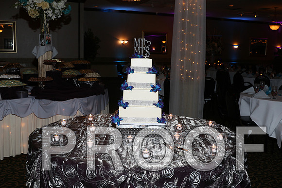 IF6A8301 Wedding Reception