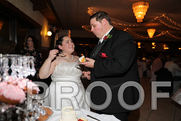 8L2A6424 Wedding Photos - Cutting the cake