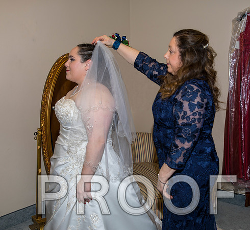8L2A5540 aaa Wedding Photos - Bride getting ready