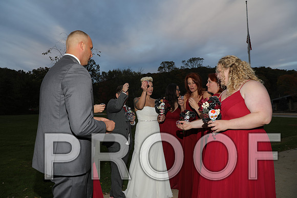 8L2A3558 Wedding Photos - the bride and groom along with the bridal party