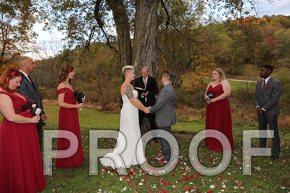 8L2A3353 Wedding Photos - The ceremony