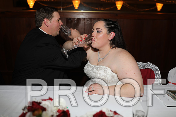8L2A6439 Wedding Photos - The Reception