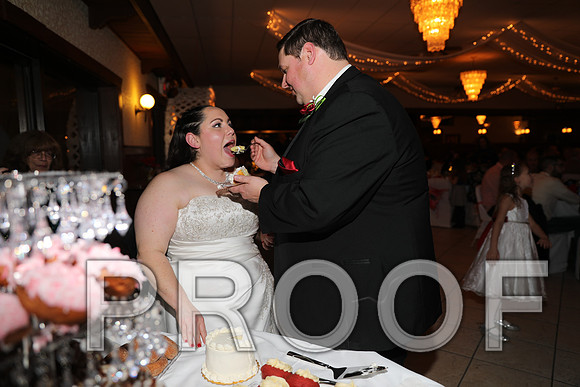 8L2A6411 Wedding Photos - Cutting the cake