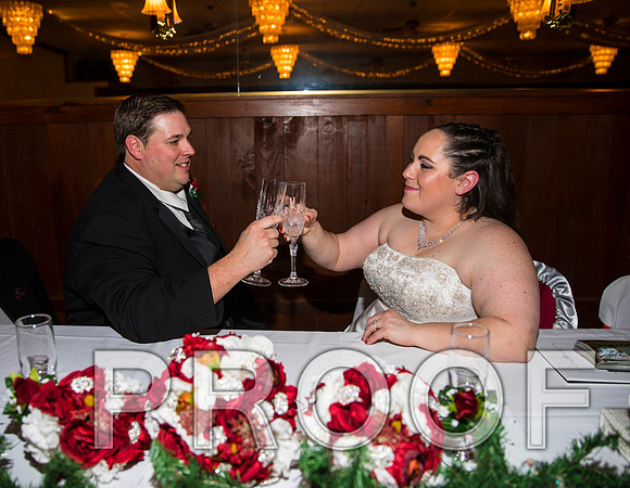 8L2A6446 aaa Wedding Photos - The Reception