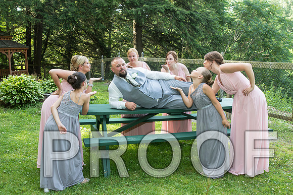 IF6A5657 aaa Wedding - Bride and Groom with the bridal party
