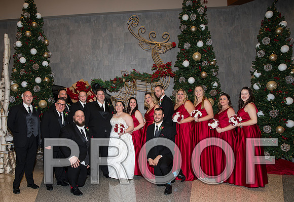 8L2A6109 aaa Wedding Photos - Bride & Groom with the bridal party