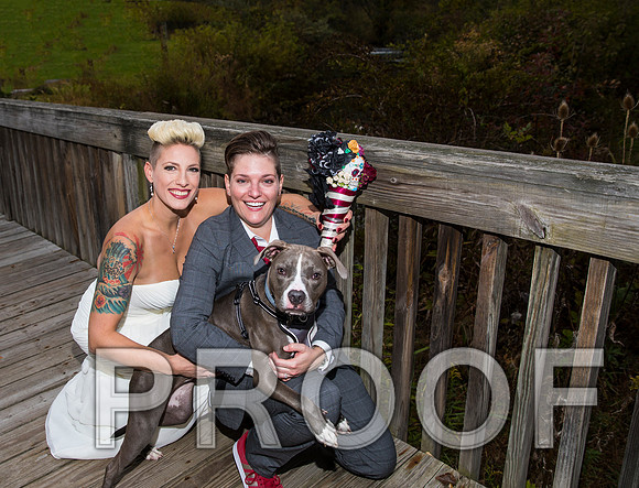 8L2A3485 AAA Wedding Photos - the bride and groom along with the bridal party
