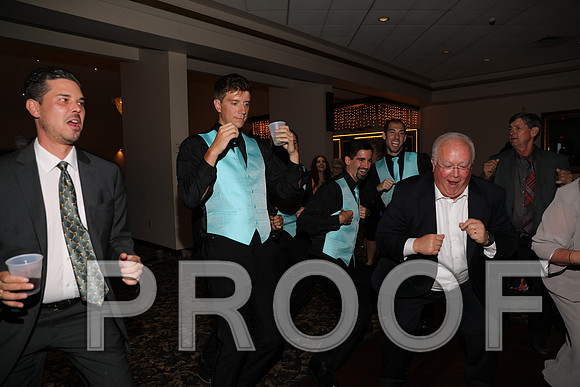 8L2A1588 Wedding Reception Let the Party Start