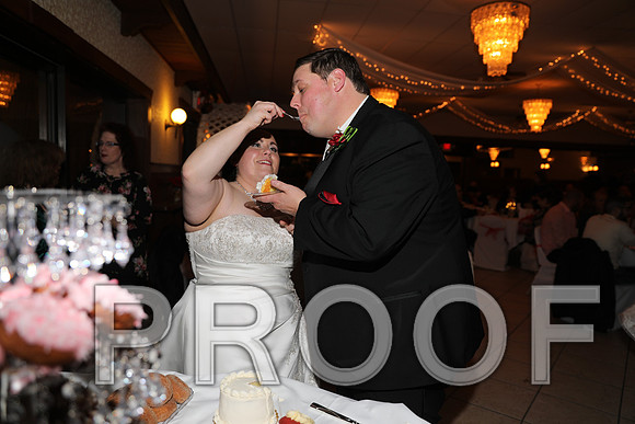 8L2A6423 Wedding Photos - Cutting the cake